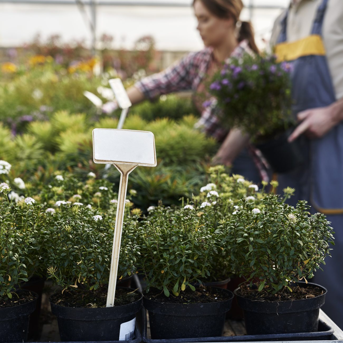 Empty label and garden workers in the background