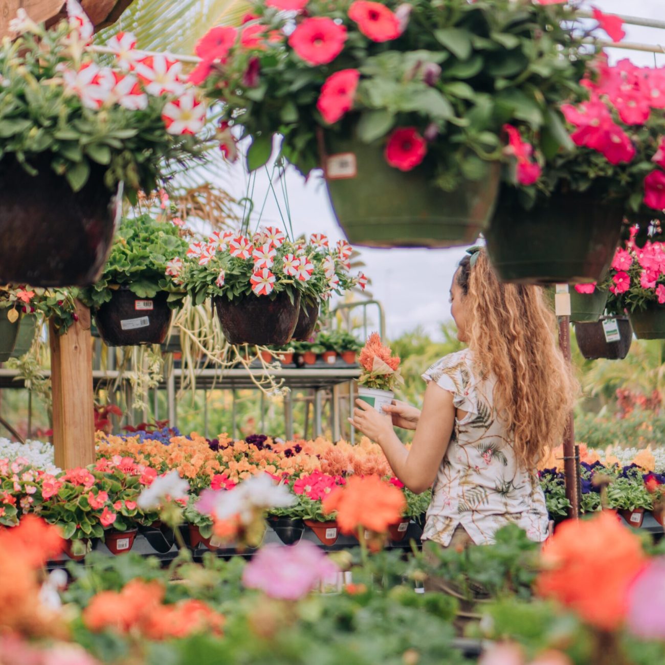 people-in-spring-woman-in-plant-nursery-2024-10-18-04-49-30-utc